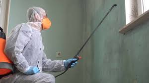 Why You Should Choose Our Mold Remediation Services in Level Park Oak Park, MI